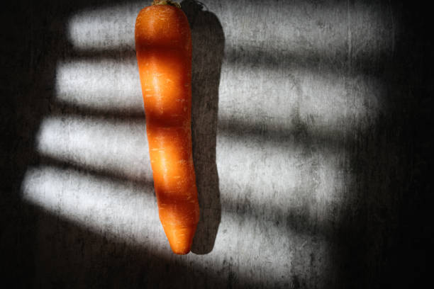 The sun shone on the carrots