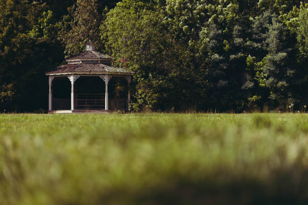 white gazebo in a small park