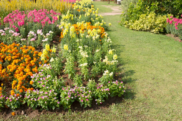 istock flowers in the garden with grass path 1396947017