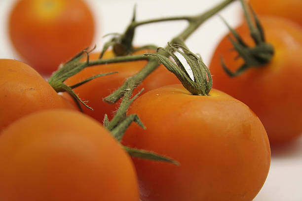 Pomidory – zdjęcie
