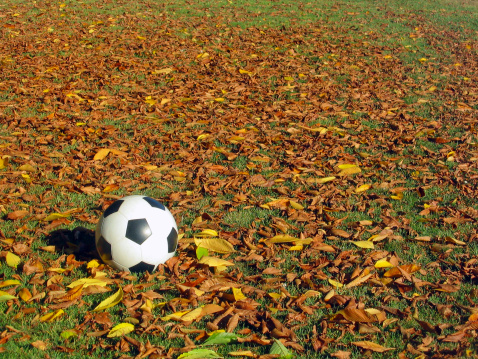 Soccer Ball On The Grass, Garden View
