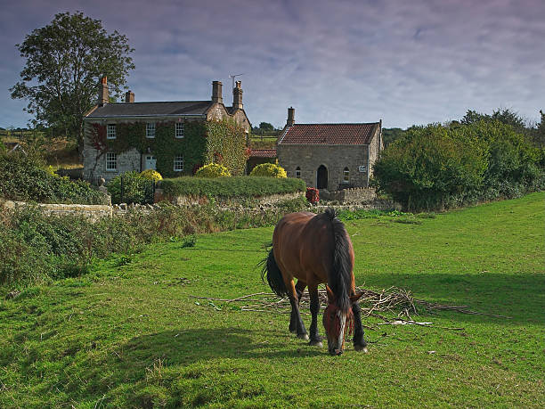 istock House and a horse 139695122