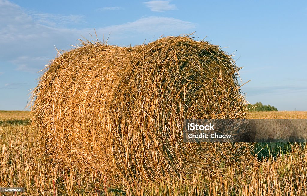 Hayrick, Heuhaufen - Lizenzfrei Aussicht genießen Stock-Foto