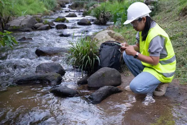 Photo of Environmental engineers inspect water quality at natural water sources and record data on smartphones. Woman scientist and environmental issues. World environment day concept.