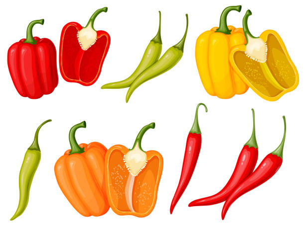 ilustrações de stock, clip art, desenhos animados e ícones de sweet bell and chili pepper set. illustration of vegetables in cartoon simple flat style. - mexico chili pepper bell pepper pepper