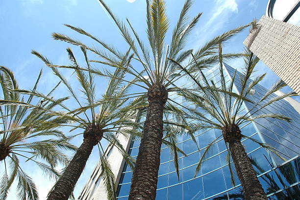 istock california office building 139695417
