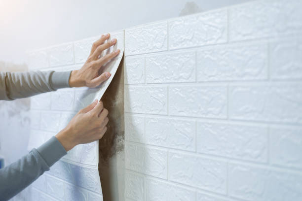 manos de trabajador pegando papel tapiz en la pared, decoración del hogar por ti mismo, copiar espacio. - papel de pared fotografías e imágenes de stock