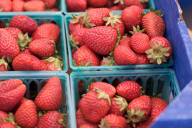 Baskets of Strawberries stock photo