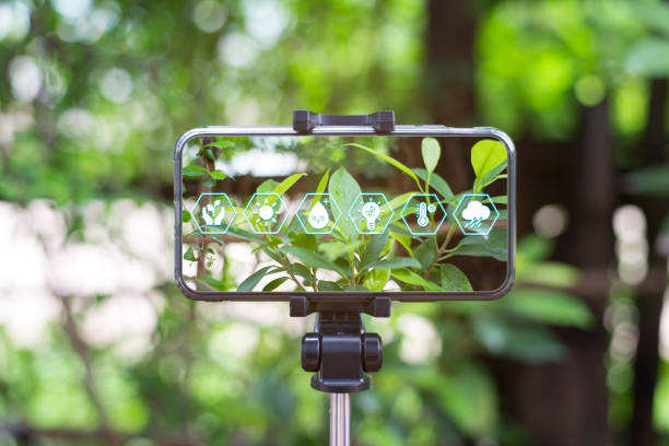 istock Technology and Environment Concept, Connection between humans and plants, Close-up. 1396956580