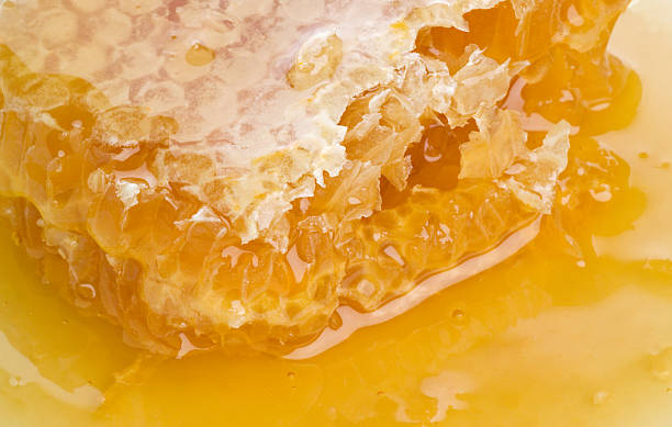 istock honey comb on a plate high-key studio macro shot 139695969