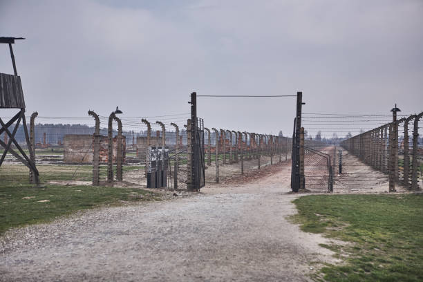Oswiecim, Poland - March 31, 2014 : View of watchtower and electric fence with barbed wire  in the former Nazi concentration camp Auschwitz-Birkenau