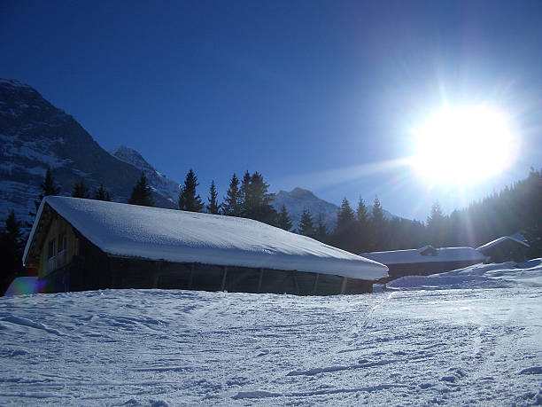 jungfrau aera suíça - monch sun snow european alps imagens e fotografias de stock