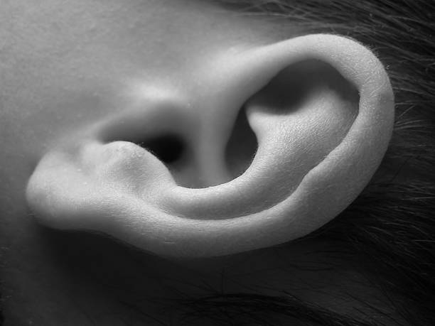 istock Close-up of child ear 139696548
