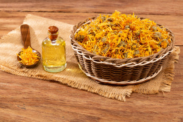 Calendula officinalis - Calendula Oil In A Glass Bottle Calendula officinalis - Calendula Oil In A Glass Bottle. pot marigold stock pictures, royalty-free photos & images