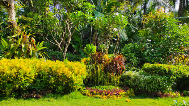 istock Garden filled with ornamental plants 1396970015