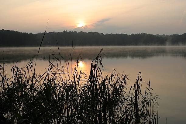 Il lago per la pesca all'alba Idillio - foto stock