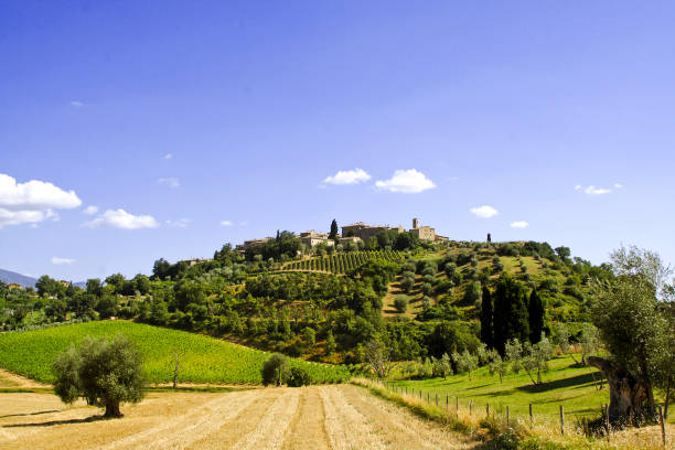 Montepulciano, a medieval village in the province of Siena. Tuscany Area, Italy Perched on top of a hill, south of Tuscany and not far from Siena, Montepulciano is a medieval town of rare beauty that is definitely worth a visit! A unique village with elegant Renaissance palaces, ancient churches, beautiful squares and small hidden corners. From Montepulciano, moreover, you can enjoy a fabulous and boundless view of the Val d'Orcia and the Val di Chiana. crete senesi stock pictures, royalty-free photos & images