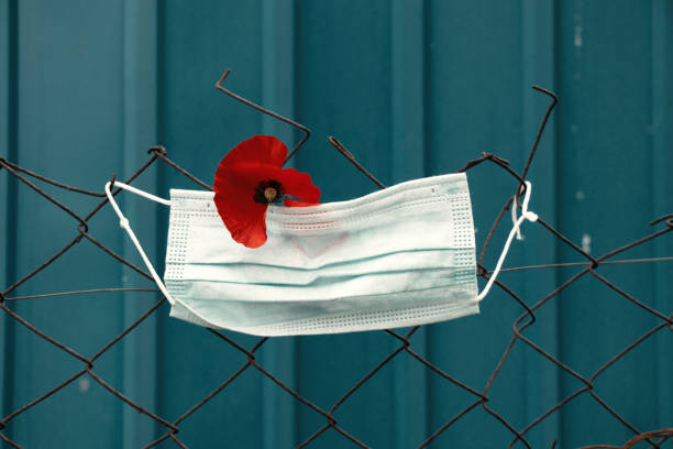 a medical mask weighs behind an iron fence and next to a red poppy flower on a blue background outside, a quarantine zone - plastic poppy imagens e fotografias de stock