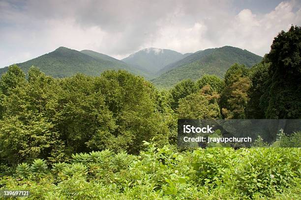 Foto de Montanhas Nas Nuvens e mais fotos de stock de Animal selvagem - Animal selvagem, Cabelo Comprido, Cordilheira