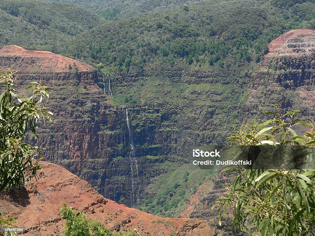 Lointain cascade à Kauai - Photo de Arbre libre de droits