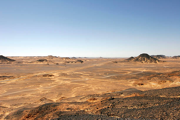 Desert- 블랙 스톡 사진