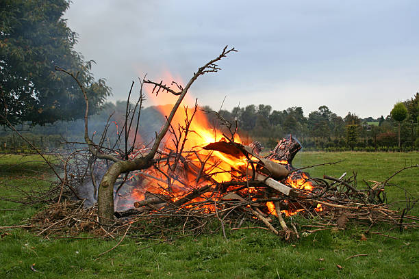 istock Bonfire on farmland 139697474