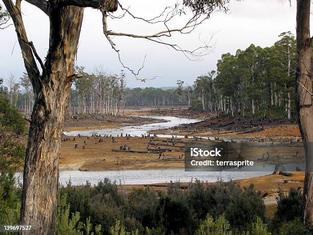 에코 공공기물 태즈매니아 Forests3 산림 벌채에 대한 스톡 사진 및 기타 이미지 - 산림 벌채, 호주, 태즈메이니아