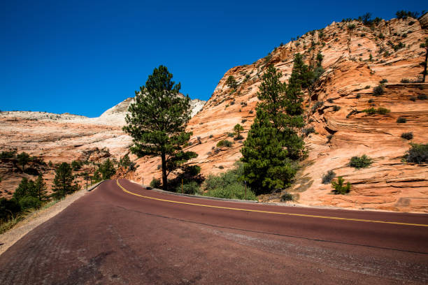 istock Zion National Park 1396976912