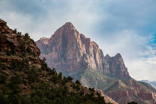 Zion National Park Zion National Park, Utah zion stock pictures, royalty-free photos & images