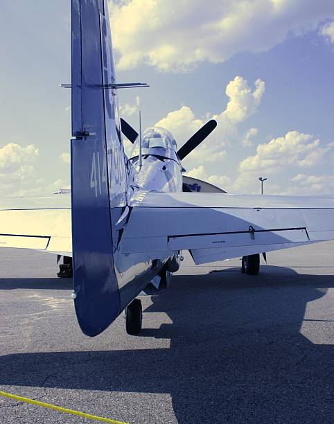 istock Tail of P-51 Mustang 139697734