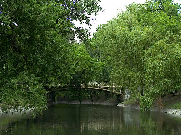 bridge over river in park stock photo