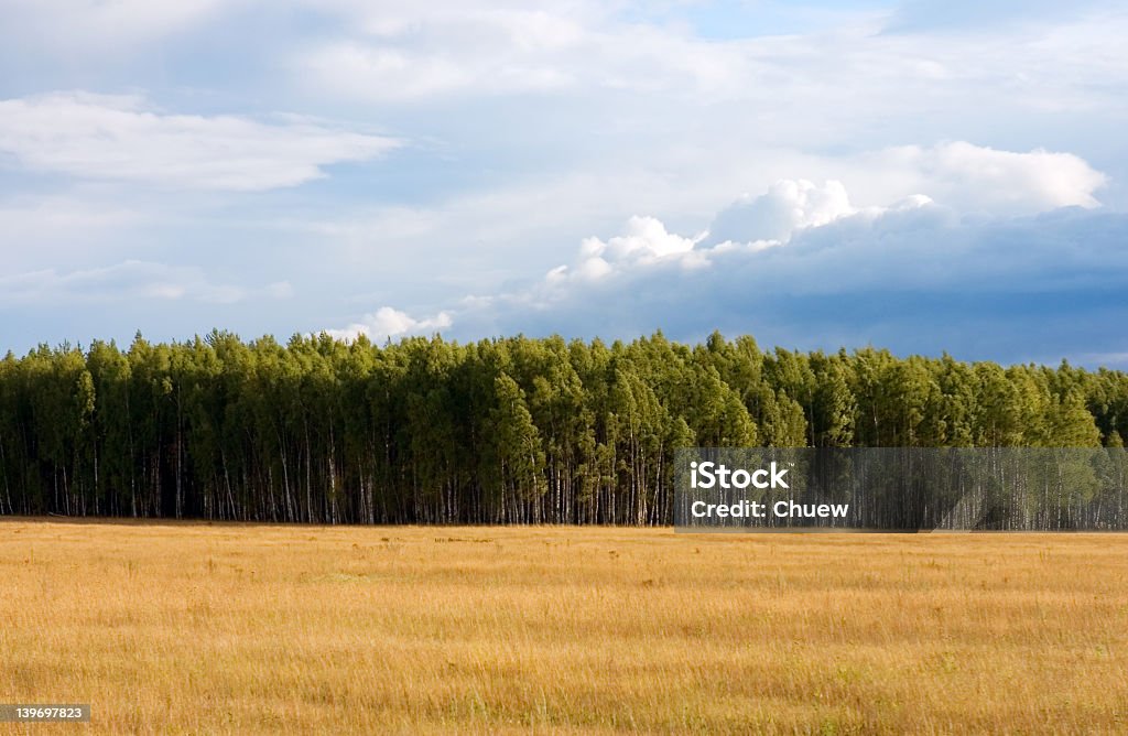 Paisagem de verão - Foto de stock de Ajardinado royalty-free