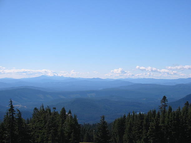 istock Mountains and Pines Landscape 139697924