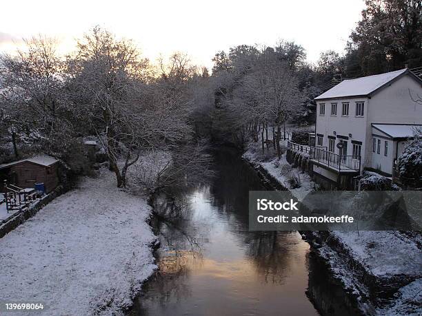 Wintry Scene Of A Canal In Wales Stock Photo - Download Image Now - Canal, Welshpool, Growth