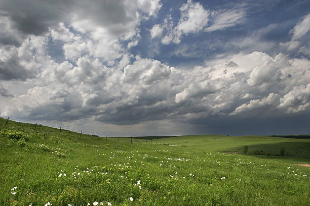 nuvens na pradaria - prairie wide landscape sky imagens e fotografias de stock
