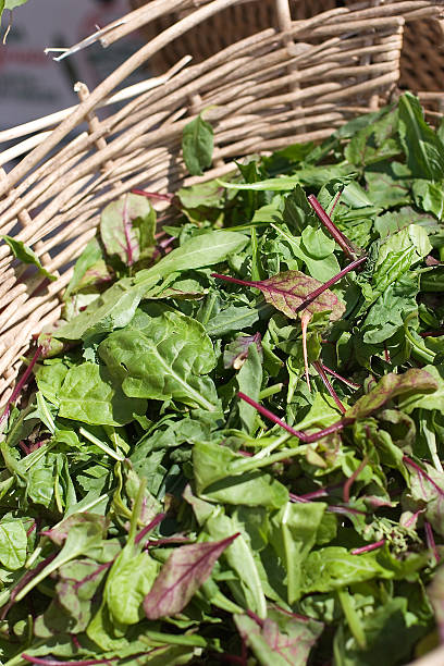 Organic Lettuce in a Basket 2 stock photo