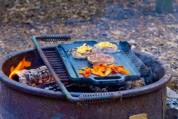 ognisko obozowe gotowania - barbecue beef close up multi colored zdjęcia i obrazy z banku zdjęć