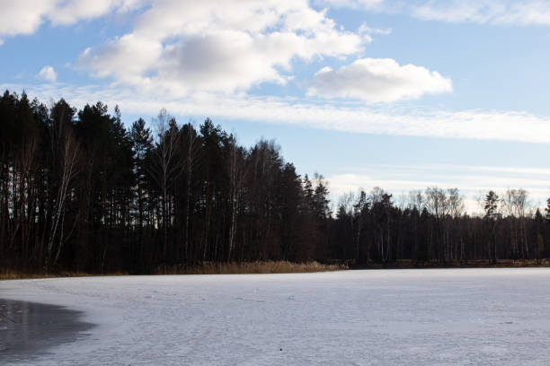 istock Edge of ice on the sand on the beach 1396985595