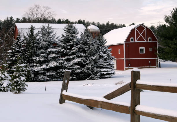istock Winter on the farm 139698627