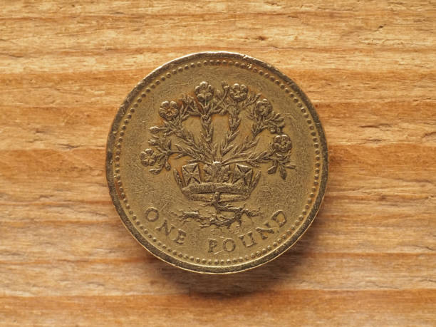 istock 1 Pound coin, reverse side showing flax plant and diadem represe 1396986471