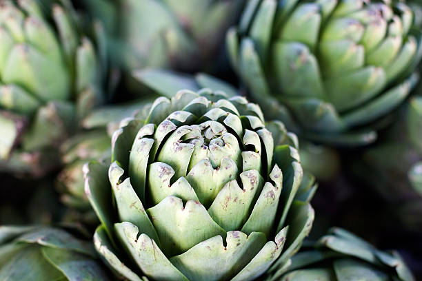 An artichoke growing next to others stock photo