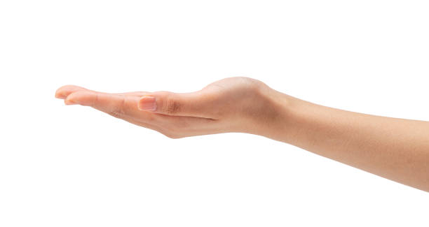 istock Female hand with palm facing up on white background 1396988997