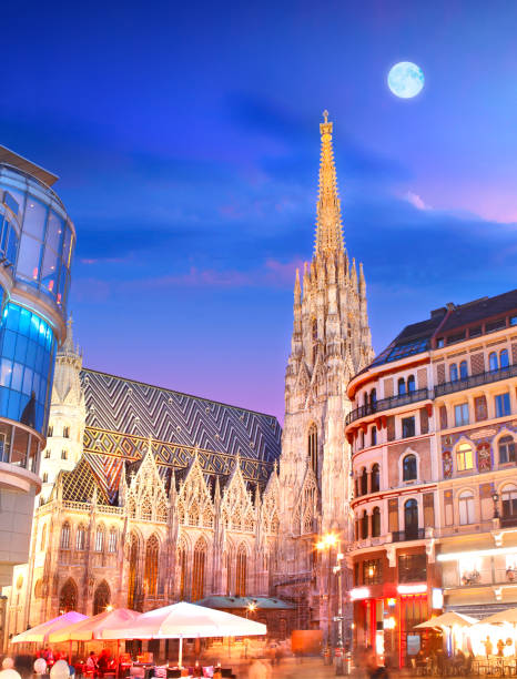 st. stephen's cathedral (stephansdom) in wien by night - church gothic style cathedral dark imagens e fotografias de stock