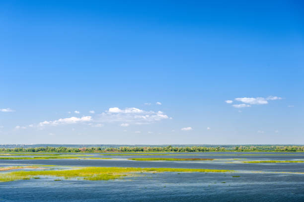 istock Endless summer landscape. Lake, forest and clear blue sky with beautiful little clouds. 1396992674