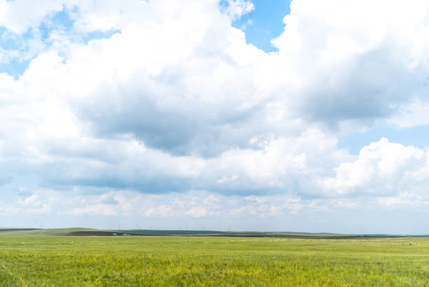 istock Green Grassy Inner Mongolia Prairie With Lush Grass & Blue Sky 1396992817