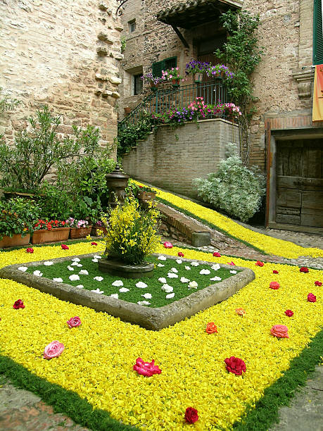 Italian Style garden cypress trees