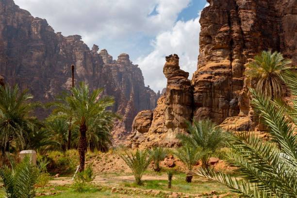 vista sulla valle di wadi al disah nella regione di tabuk, nell'arabia saudita occidentale - arabian peninsula immagine foto e immagini stock