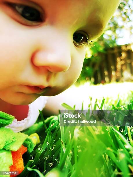 Wonder1 Stock Photo - Download Image Now - Animal Nose, Awe, Baby - Human Age