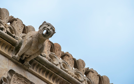 Close-up of one of the stone gargoyles on the cornice of the house of shells in Salamanca, Spain