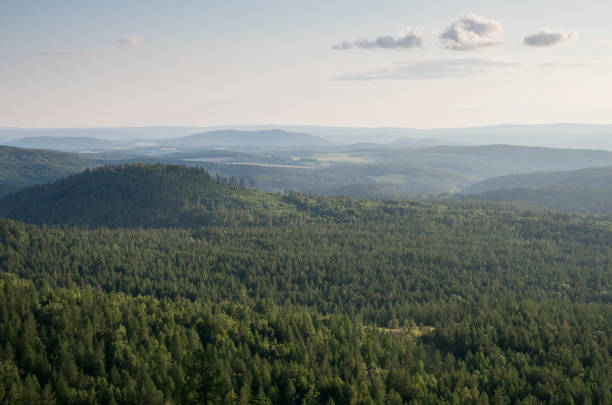 istock Southern Urals, Ural Mountains in summer. 1396996446